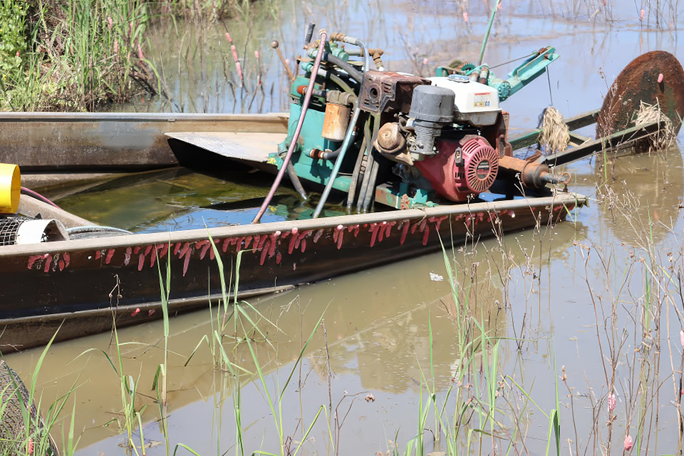 Variety of equipment on a boat. The side of the boat is full of Apple snail's eggs